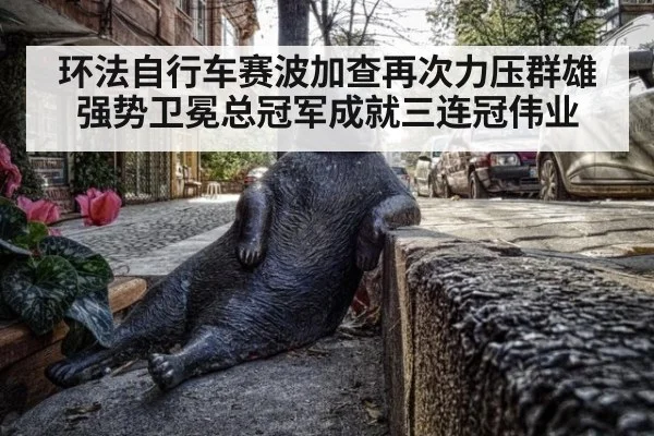 环法自行车赛波加查再次力压群雄强势卫冕总冠军成就三连冠伟业